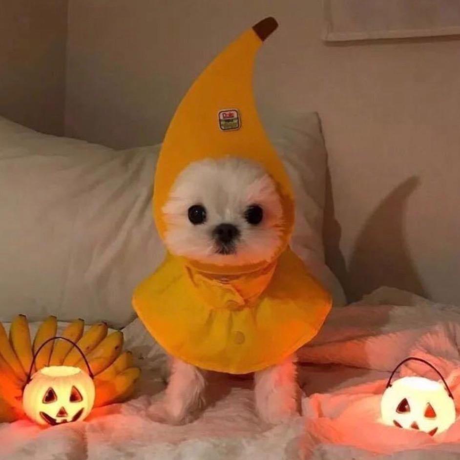 徐祖贤