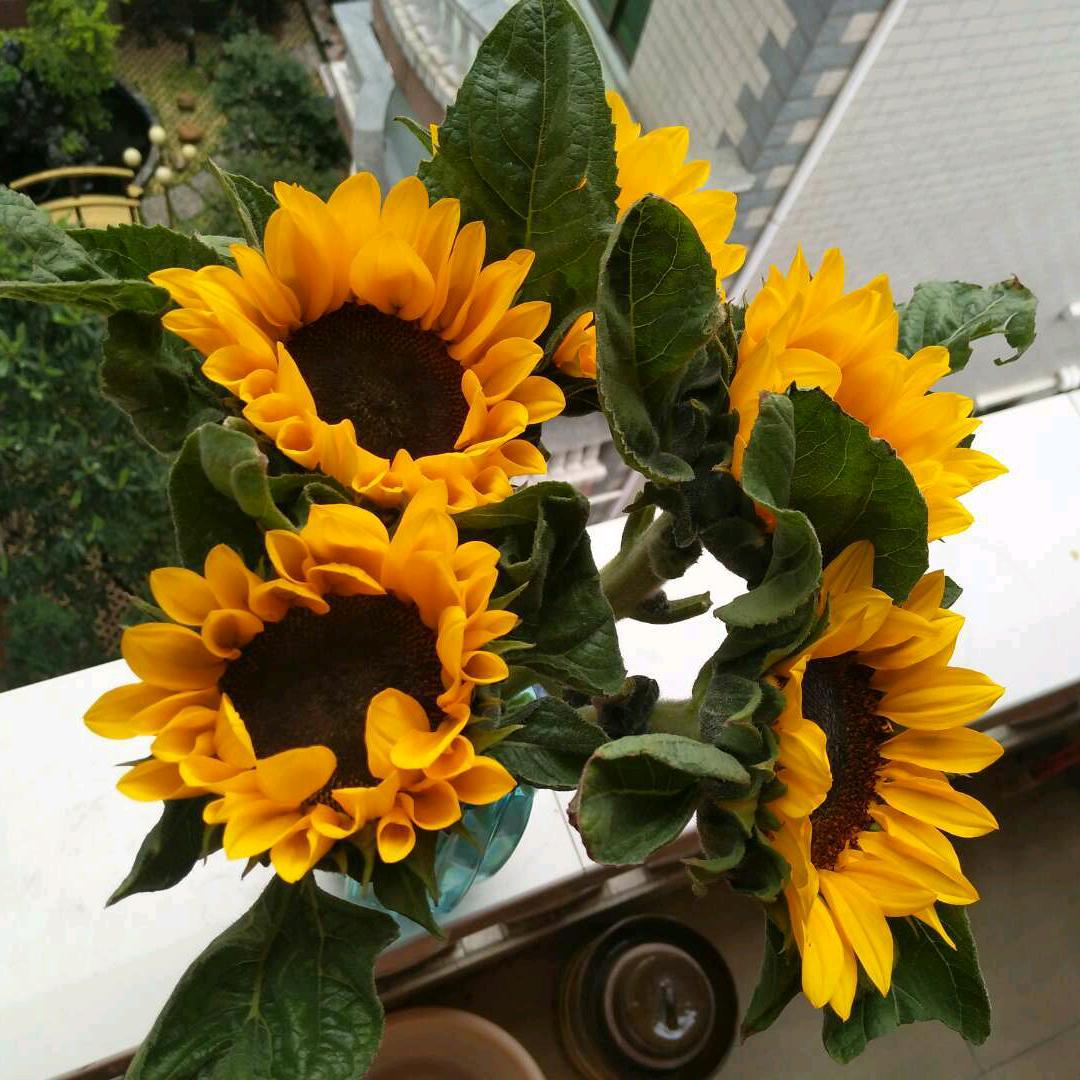 @阿芬