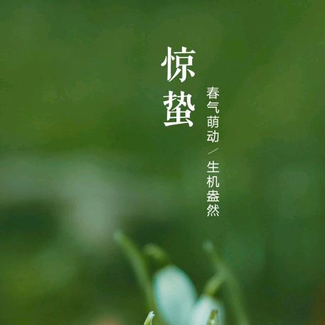共同富裕丨数字乡村