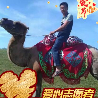 大漠苍狼