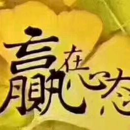 梦想的翅膀