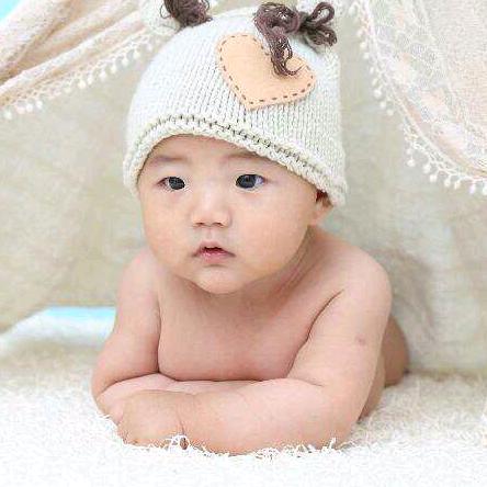 淡泊