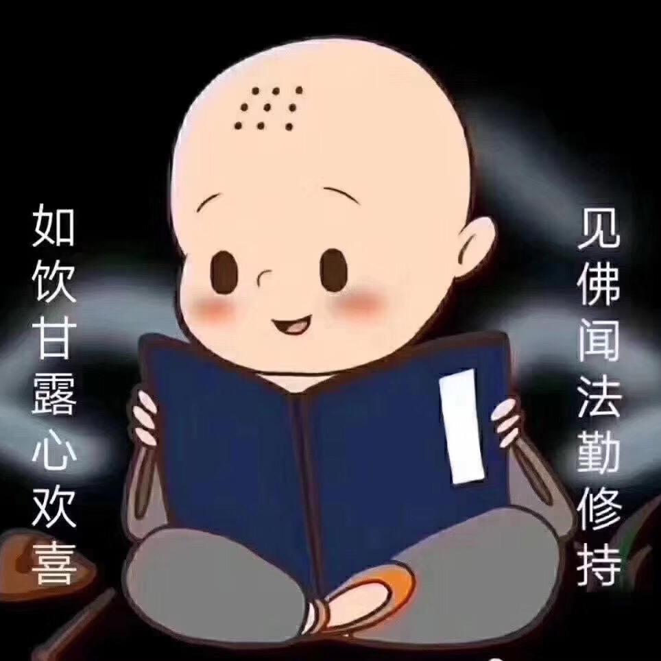 风舞无双