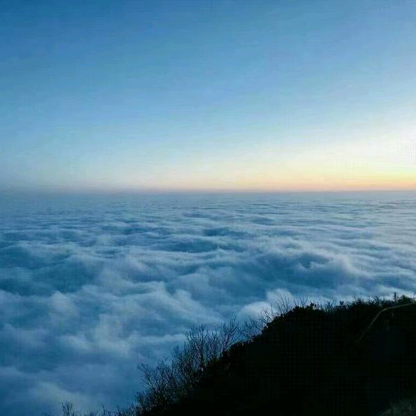 纯蜂蜜，专业水电