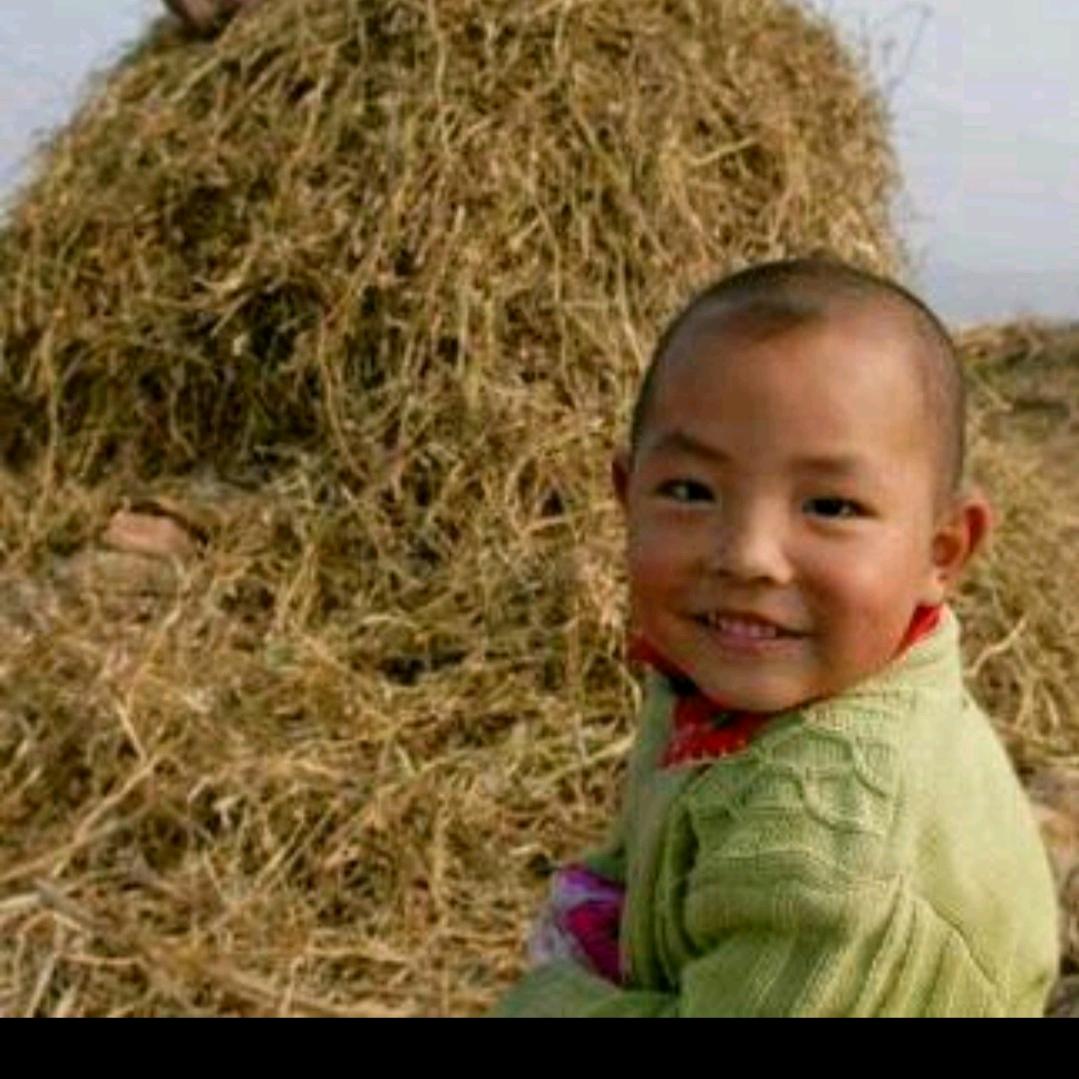 一点不紧张先生 （冲 1000粉丝计划）