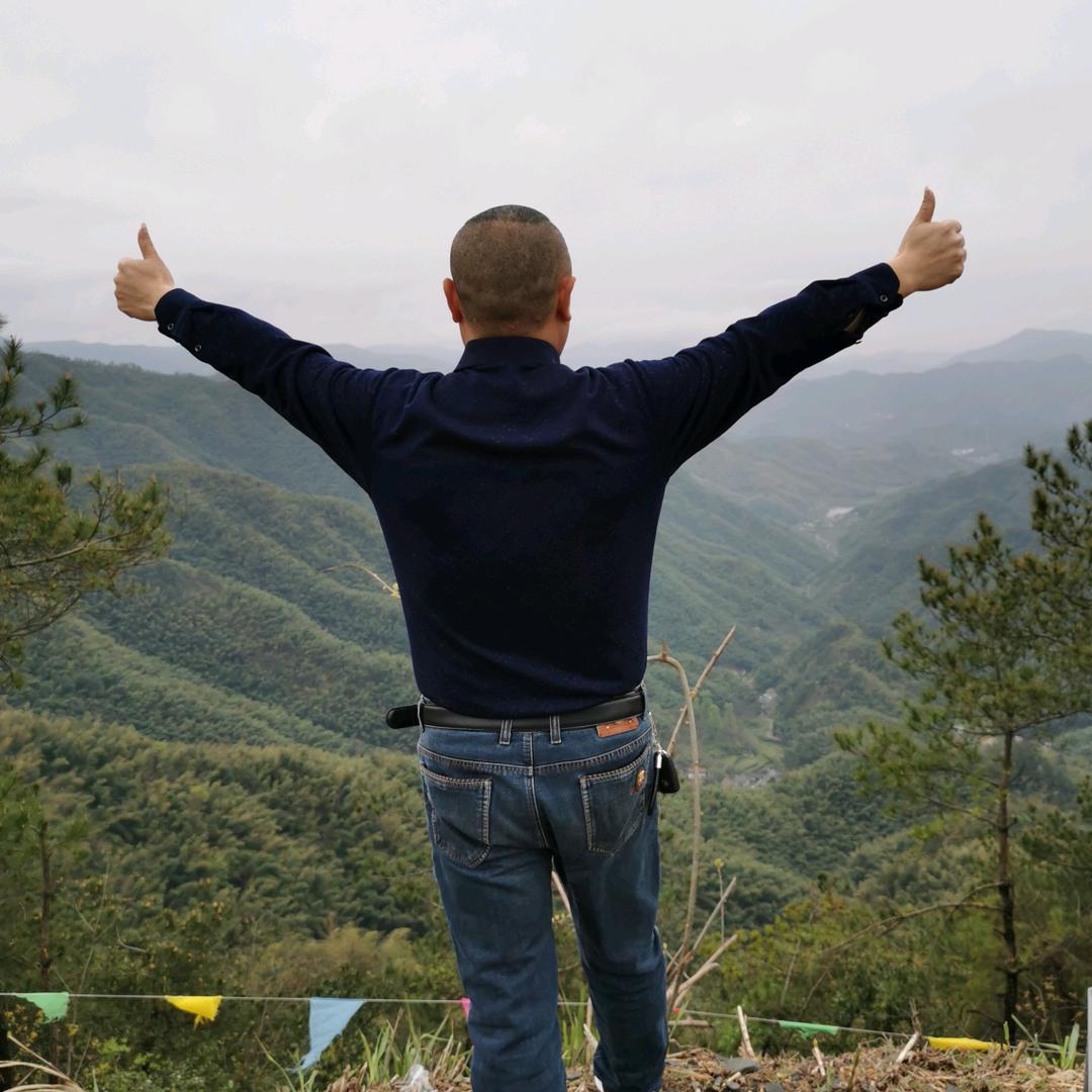 随心所欲