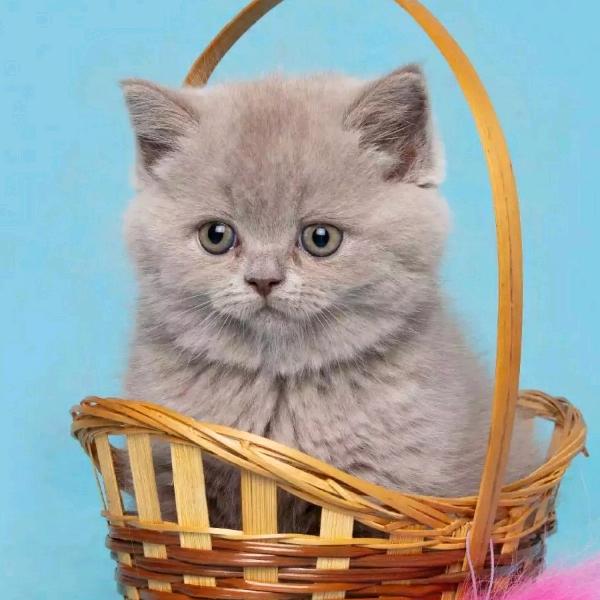 ꦻ꯭ᩚ俗人🍀爱财ꦿᩚ