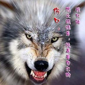 拆迁废旧物质