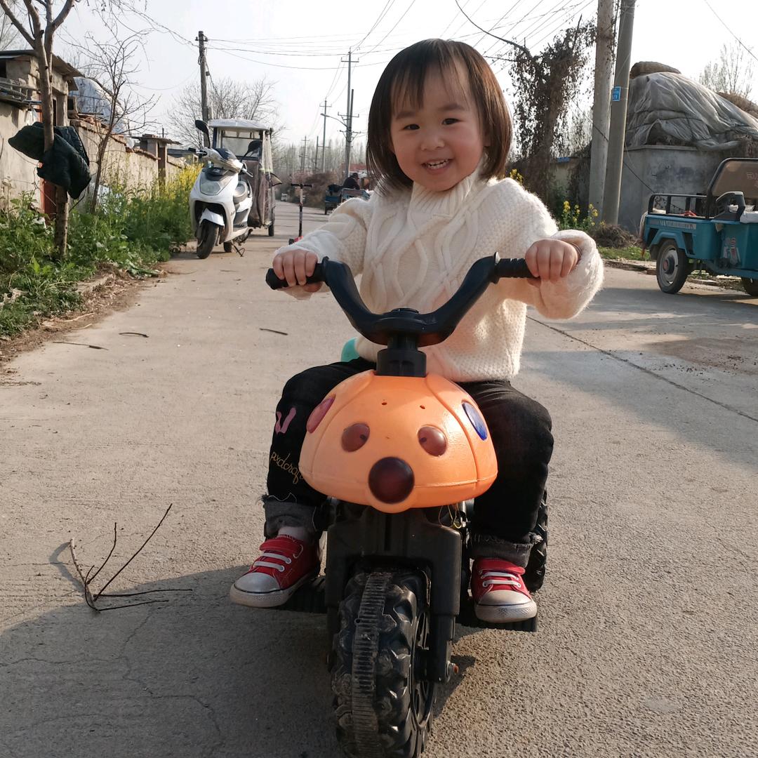 小燕子