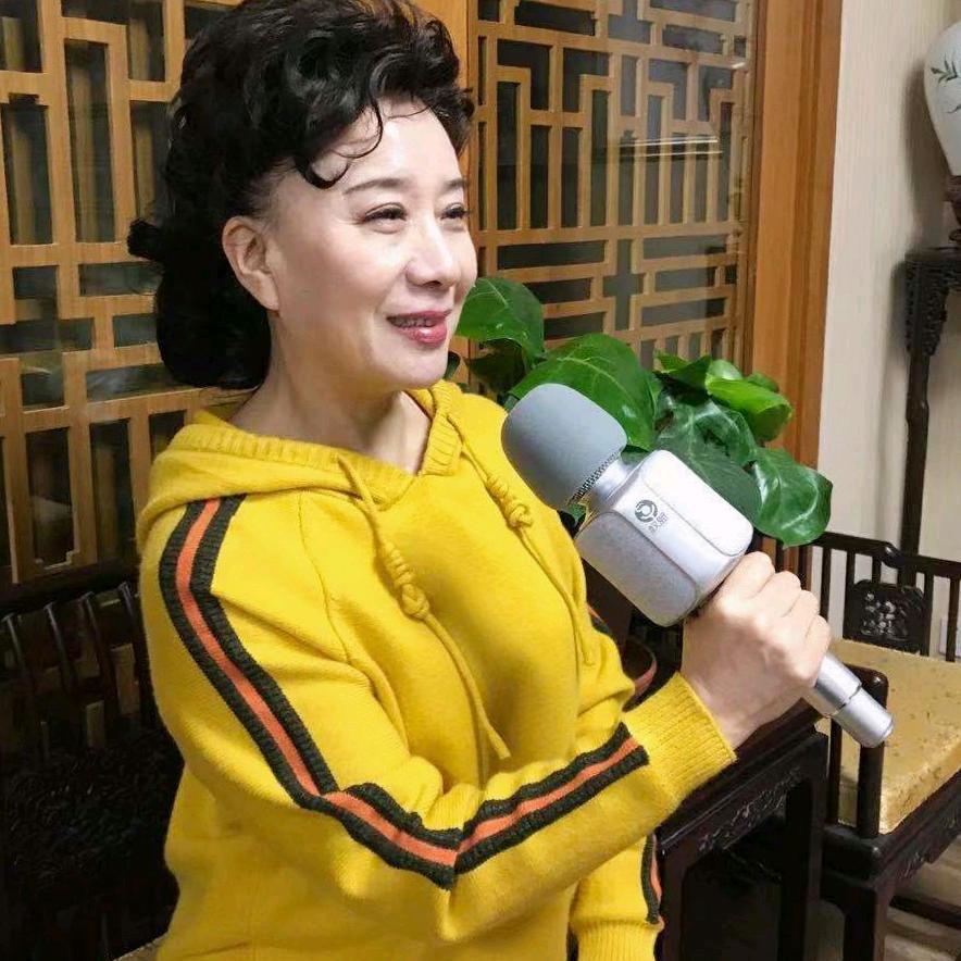 武丽