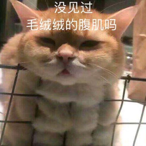 长沙热心市民小陈