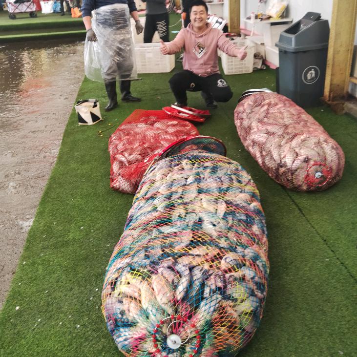 锦州惠友渔具店（北辰老六）