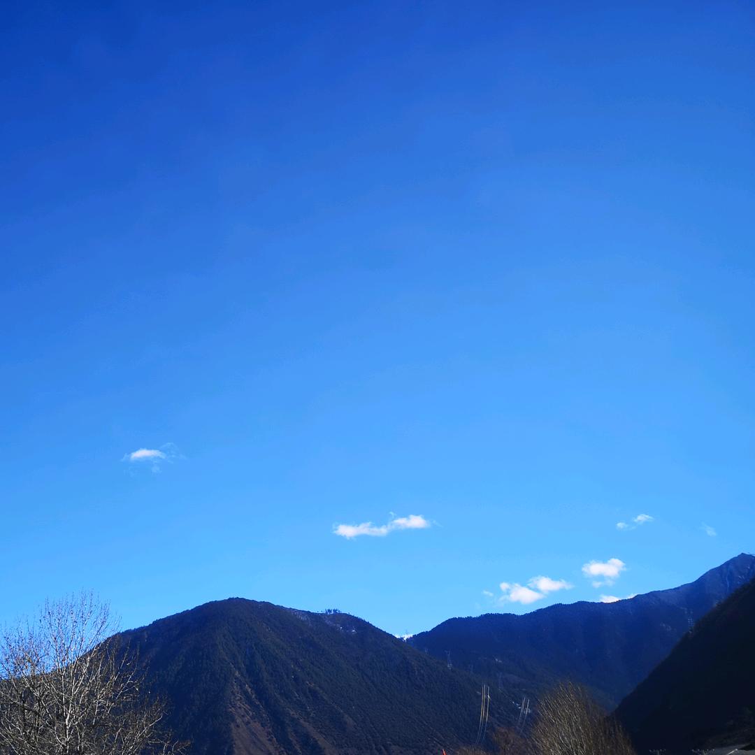 请叫我张师傅🤓