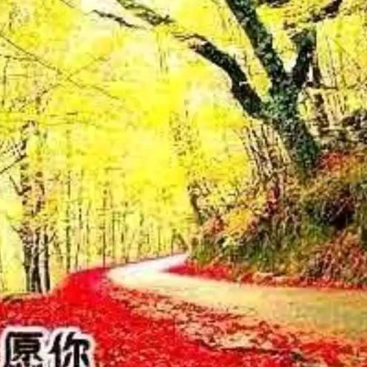 一介布衣