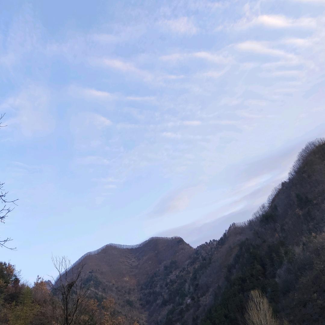z小山