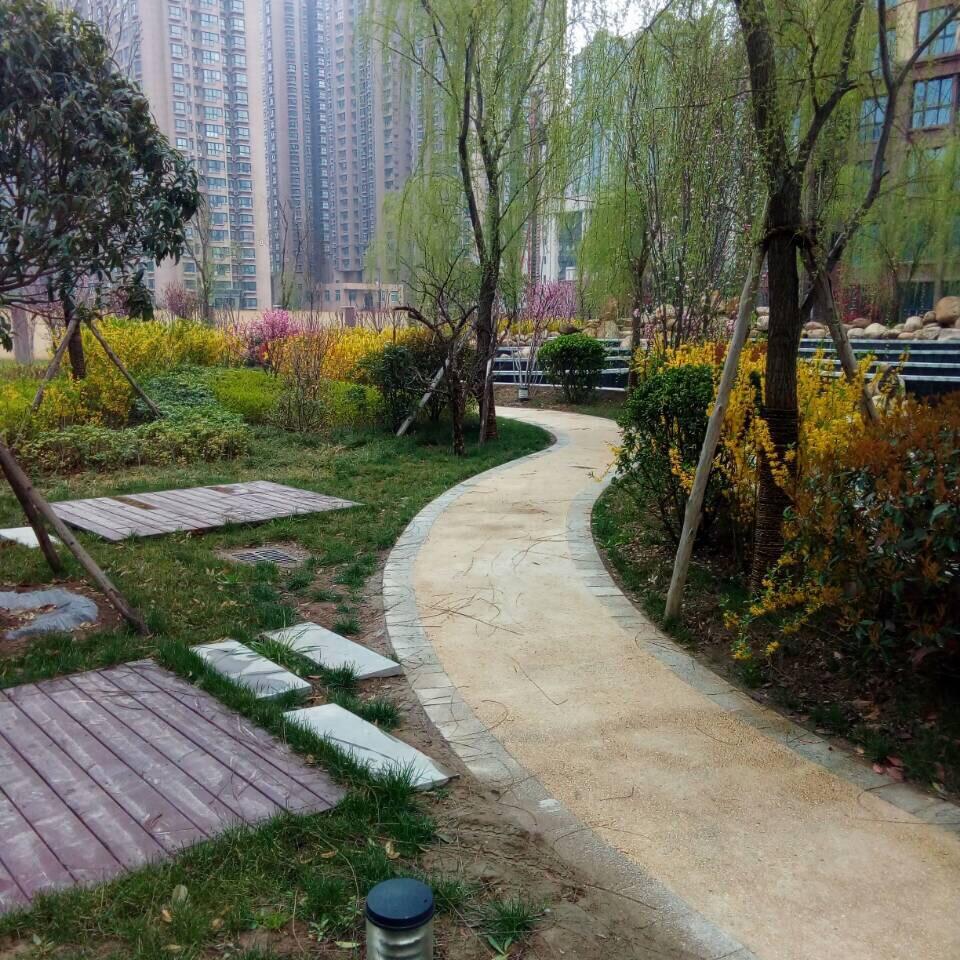 青草漫溯