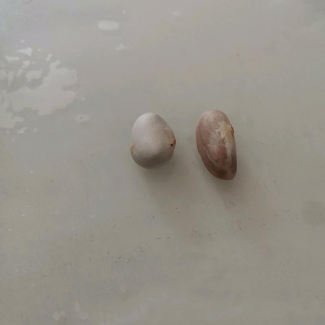 梦开始的地方！