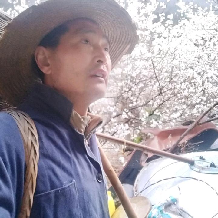 草帽叔