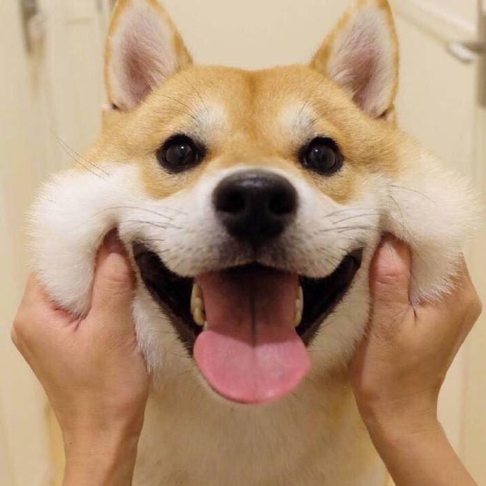 库里汤