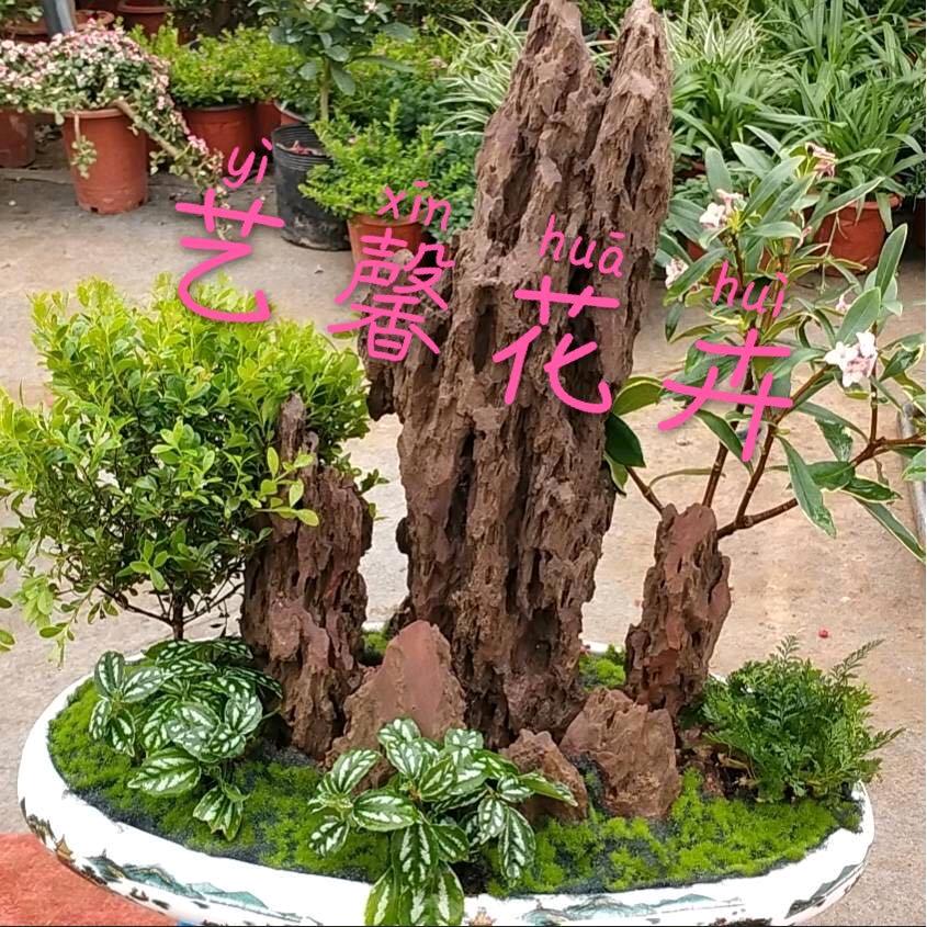 艺馨花卉