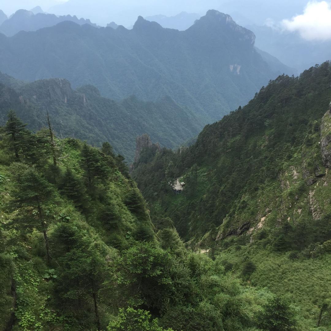 平平淡淡就是我