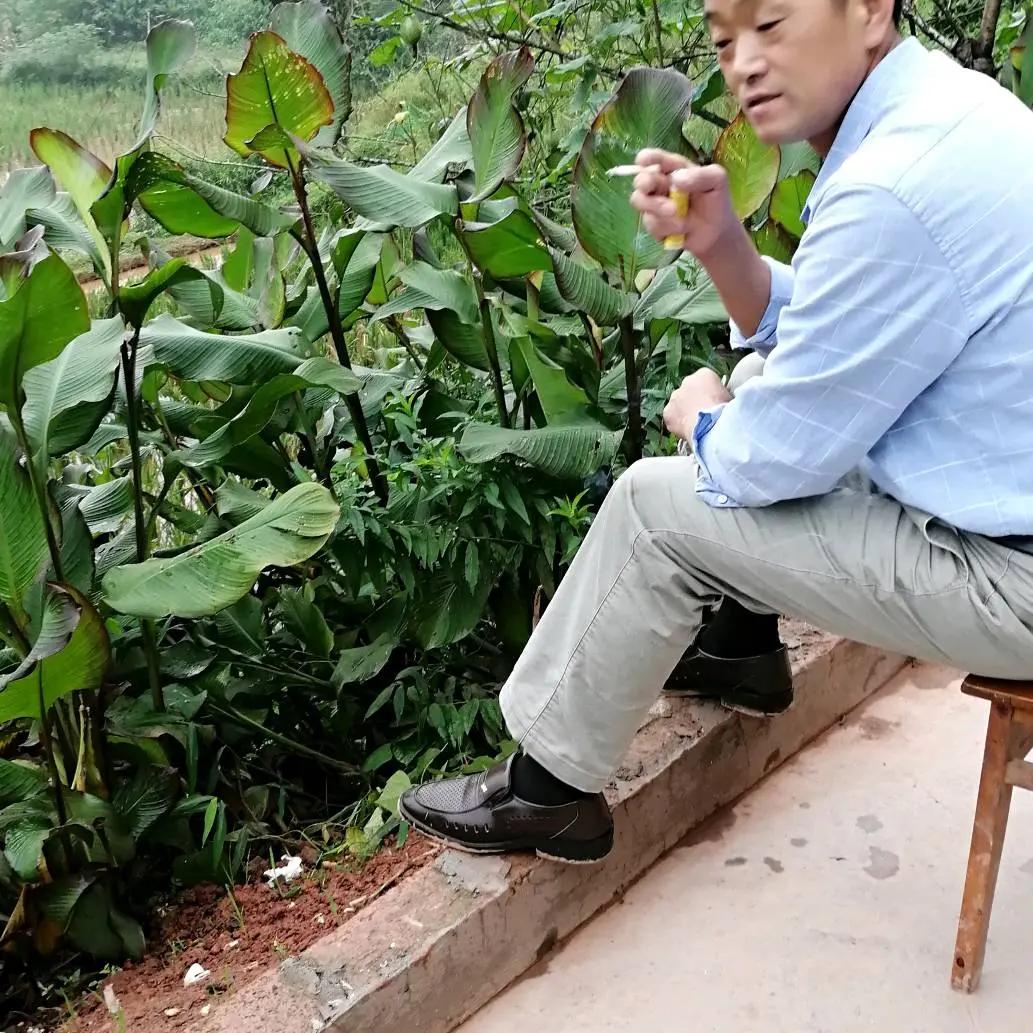高福成