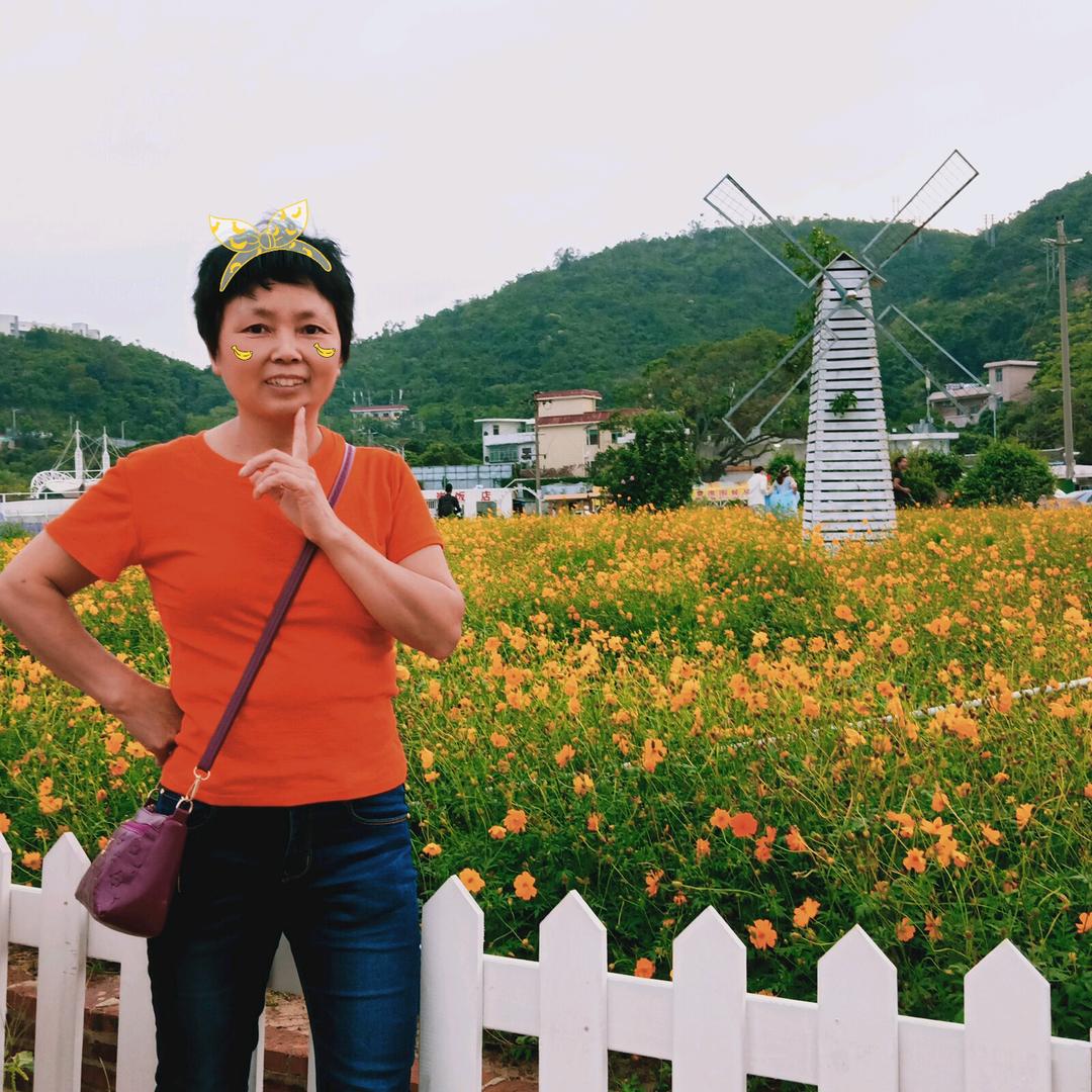 花花天加