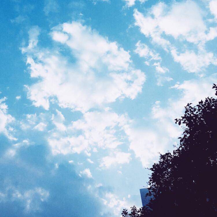 你的“小亮哥”💗