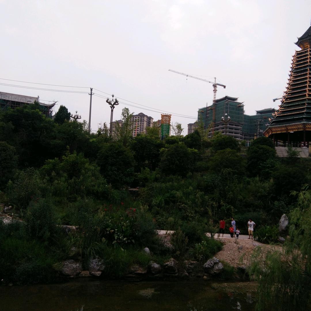 目光