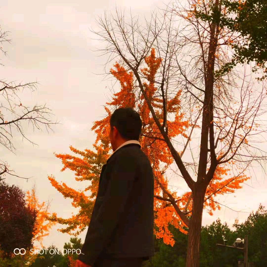 十年戎马心孤单