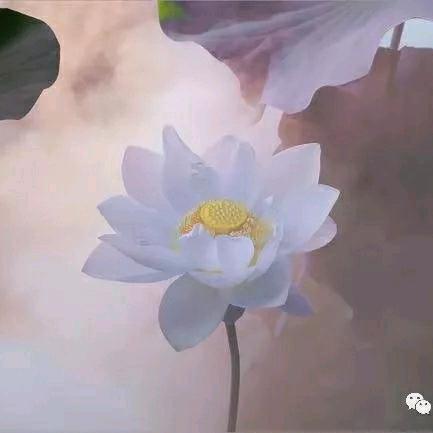 熙熙公主