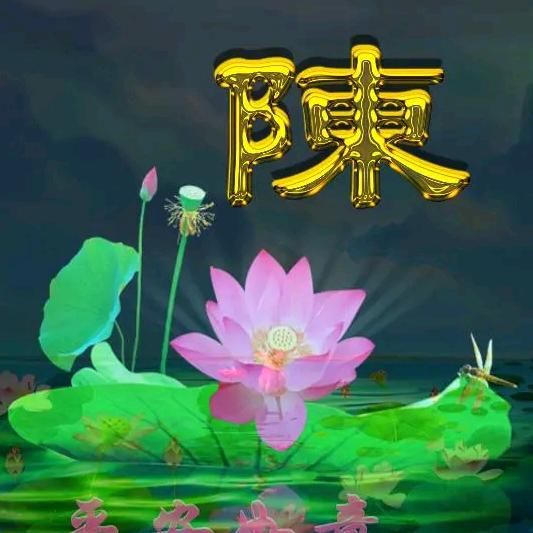 随风奔跑