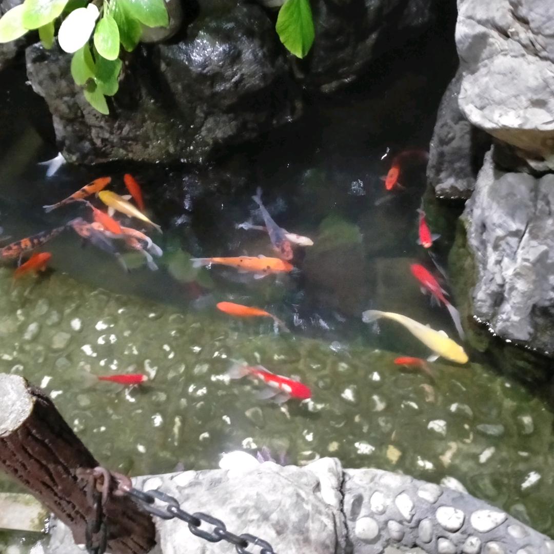 平安是福