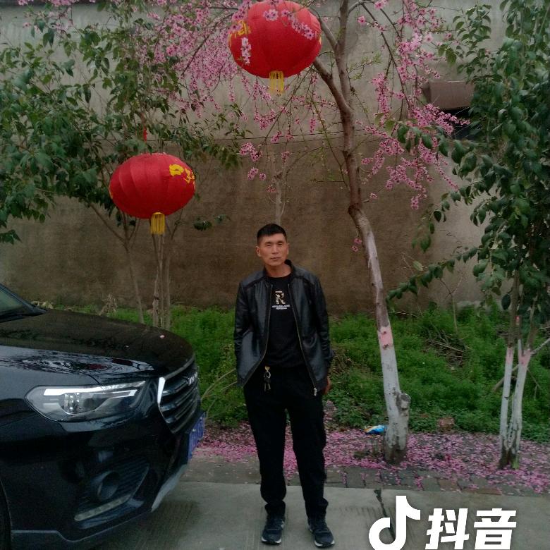 收树