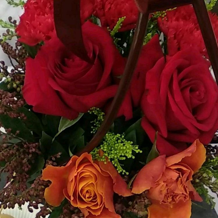 平凡人生好好过🌹🌹