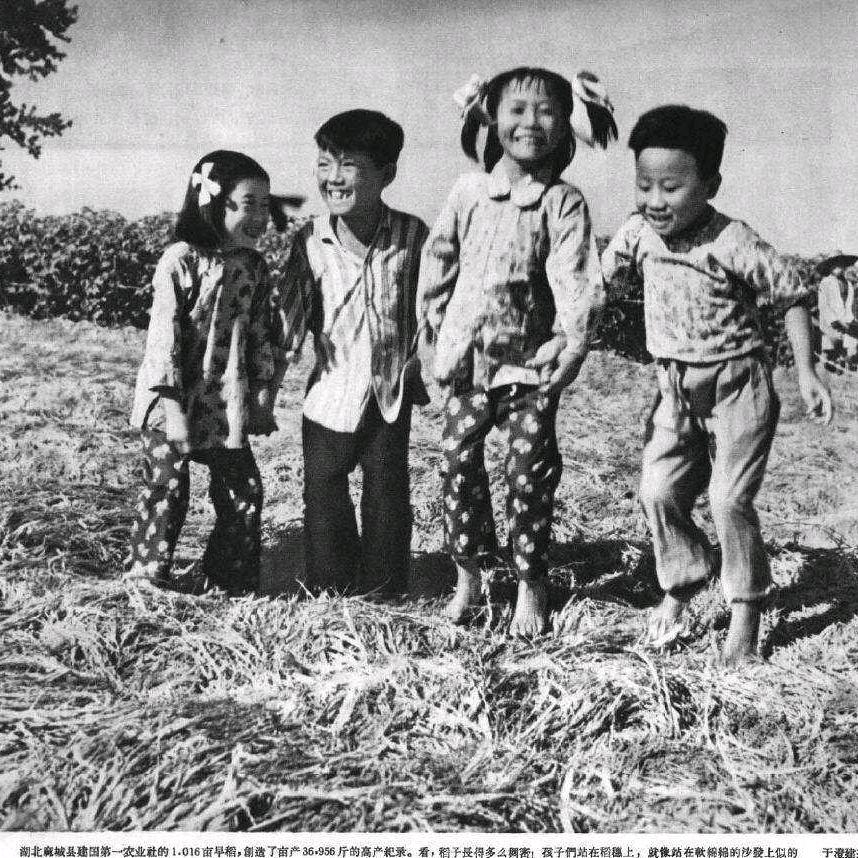 52嚇兹