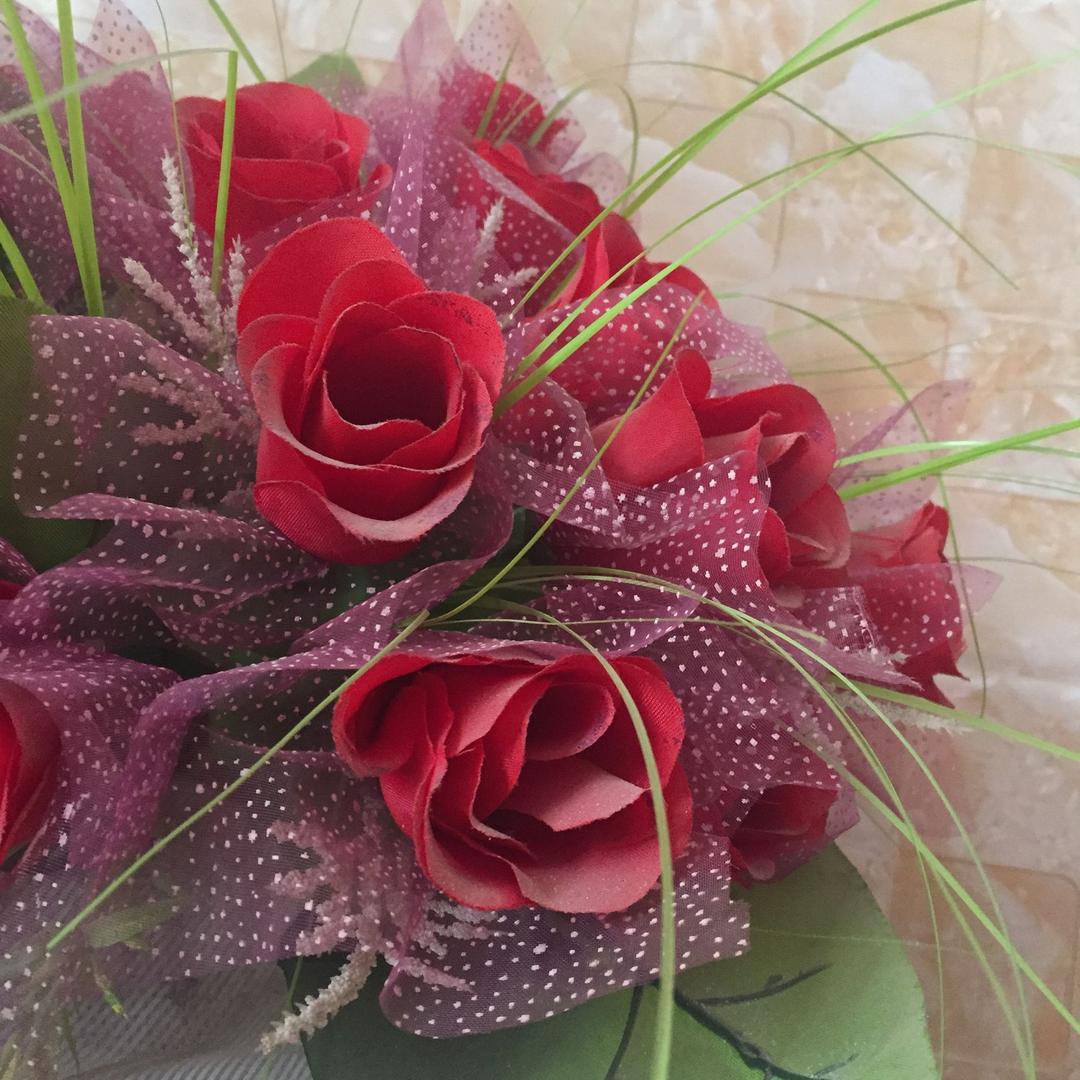 🌺人生如梦🌺