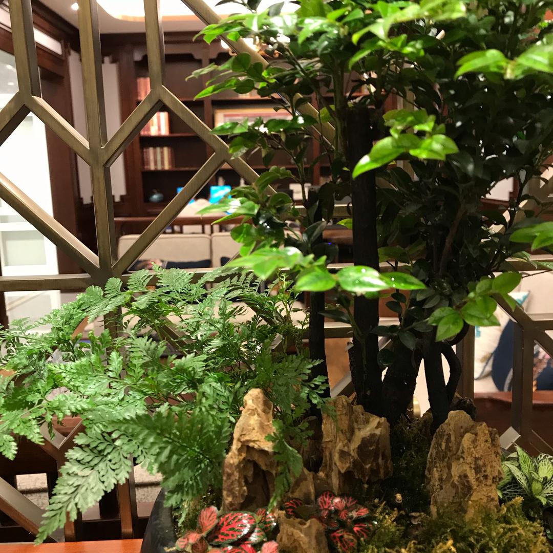 眉山名门入户门宋姐