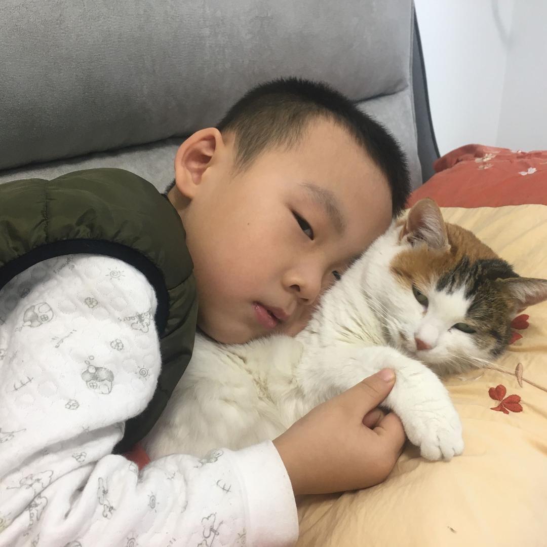豆子爱围脖