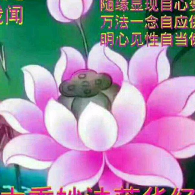 清净一生