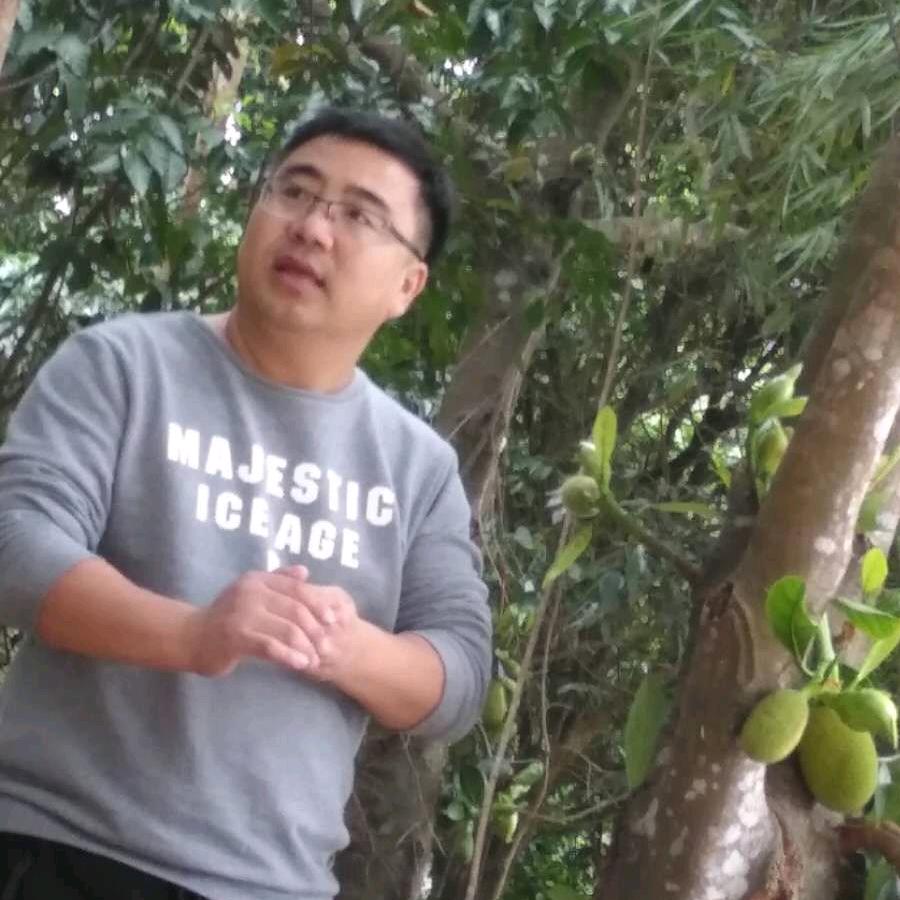 冰帆