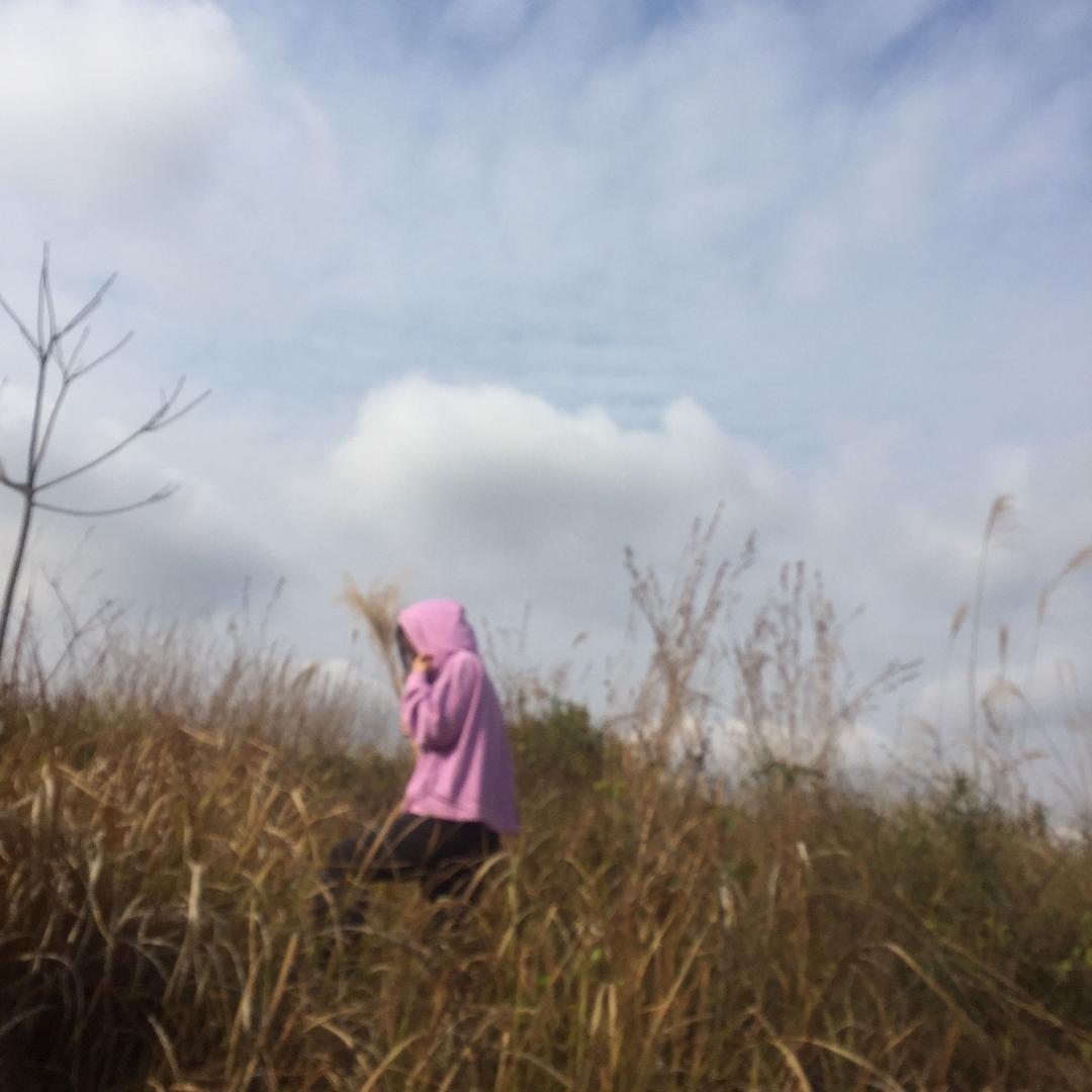 展妍