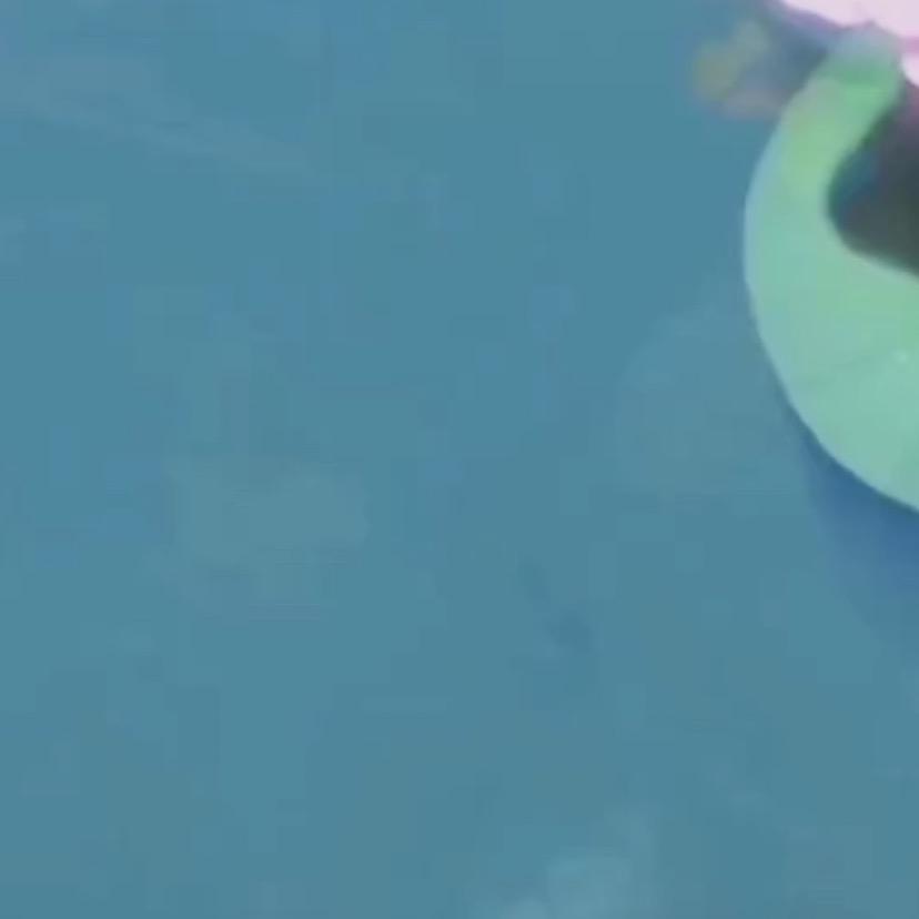 嘿哈嘿哈