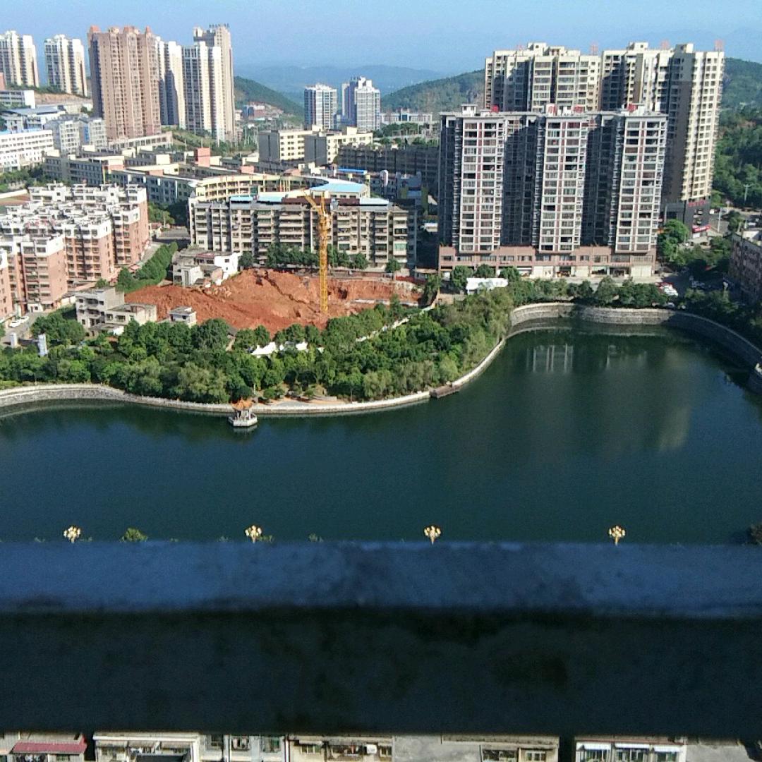 迷途的心