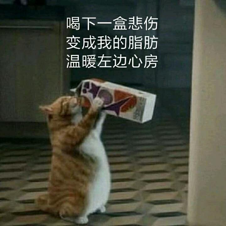 哇，卡哇伊