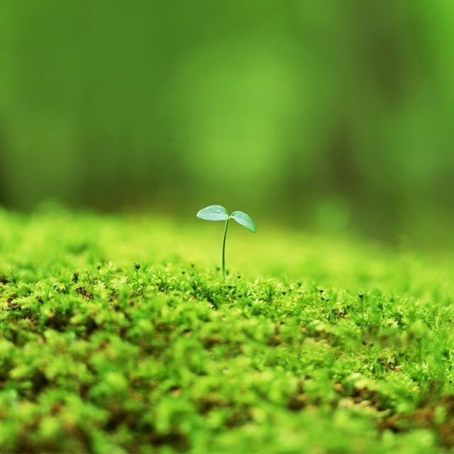 头道汤文化广场店