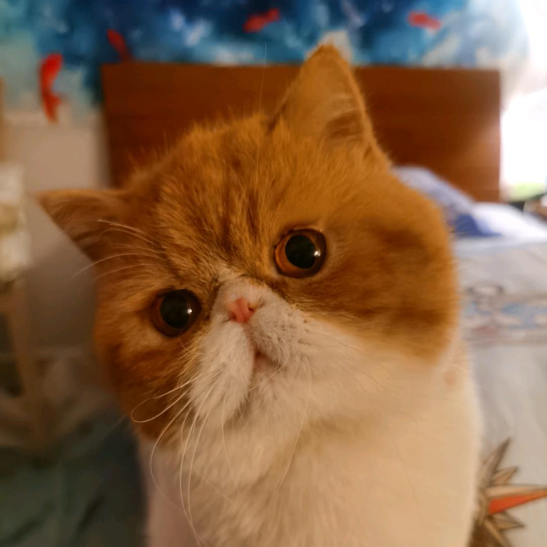 Steven