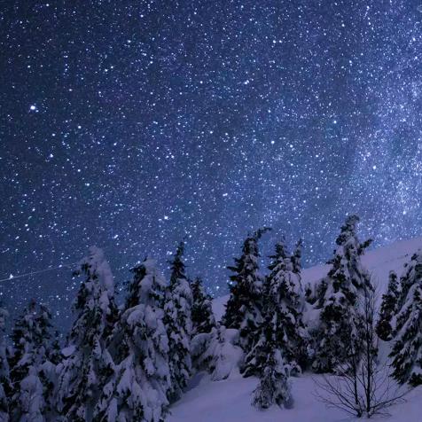 长江(商丘轻卡销售）