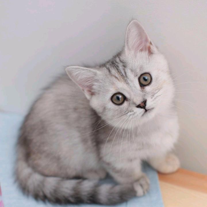 聪明小妹儿～
