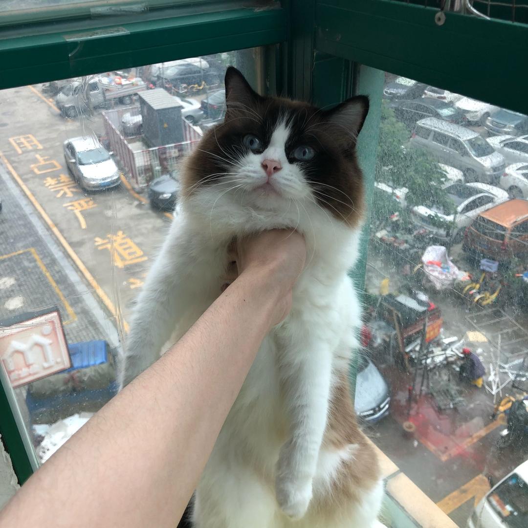 转机